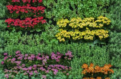 Um jardim particular em casa