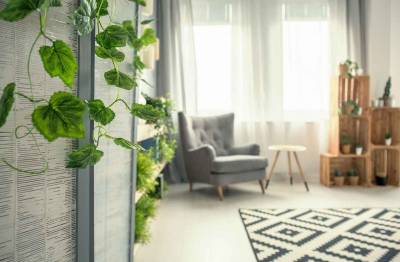 Luz abundante é aposta em design de ambientes