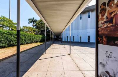 Conheça sete museus de São Paulo para visitar com a família