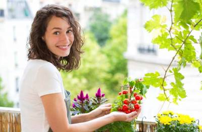 Horta em apartamento: dicas para não errar!
