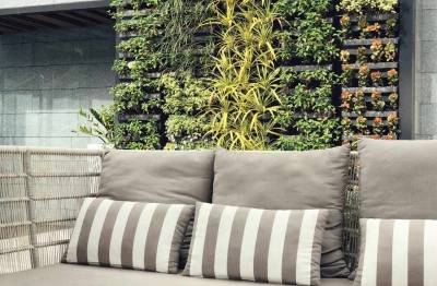 Como montar um Jardim Vertical em apartamentos?