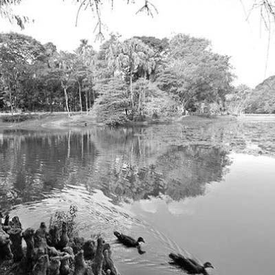 Guarulhos