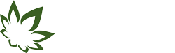 Le Premier Ibirapuera