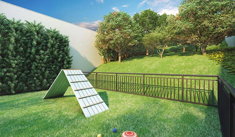 Legittimo Alto de Santana – Pet place