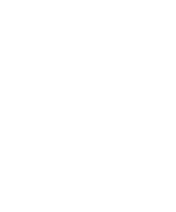 Z Ibirapuera