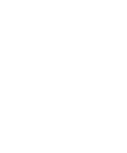 Z. Pinheiros
